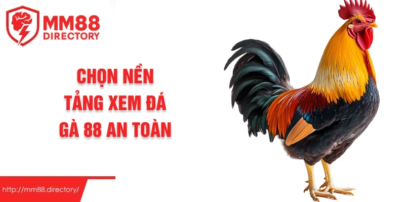 Chọn nền tảng xem đá gà 88 an toàn