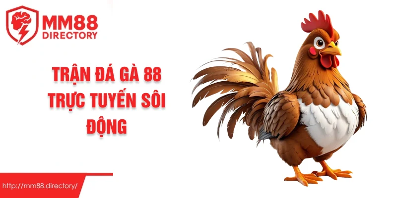 Trận đá gà 88 trực tuyến sôi động